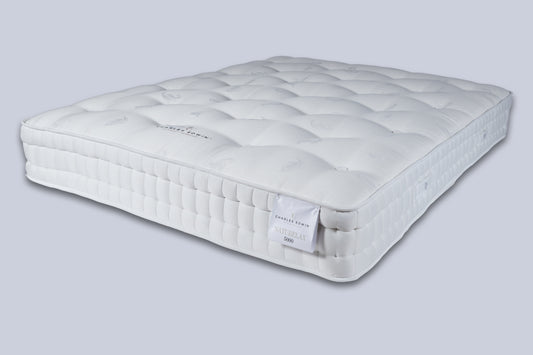 Mexico City Mattress